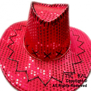 SOMBRERO COWBOY LENTEJUELA FUCSIA X 1